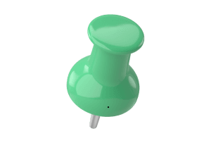 Slavica Pesut Urednik 13