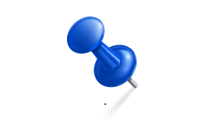 Slavica Pesut Urednik 15