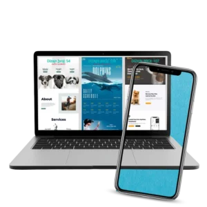 Izrada web stranice PREMIUM paket